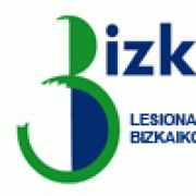 (c) Bizkel.com